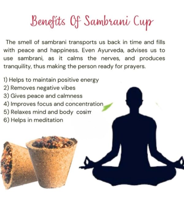 Nagar Nigam Saharanpur Panchgavya Sambrani Cup with Holder, Handcrafted Incense Burner, Ceremonial Incense Holder - Image 4