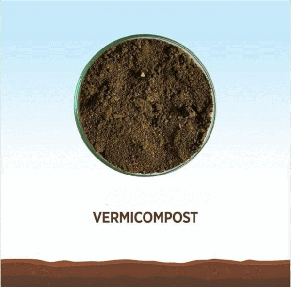 Nagar Nigam Saharanpur Organic Vermicompost Fertilizer for Indoor Plants, Outdoor Plants, Vegetables, Lawn and Garden, 1 Pack - Image 4
