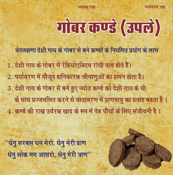 Cow Dung Cake/Kande (Pack of 20) for havan Pooja, Handmade Desi Gau ke kande/Upla/uplay for Religious Purpose-490g - Image 2